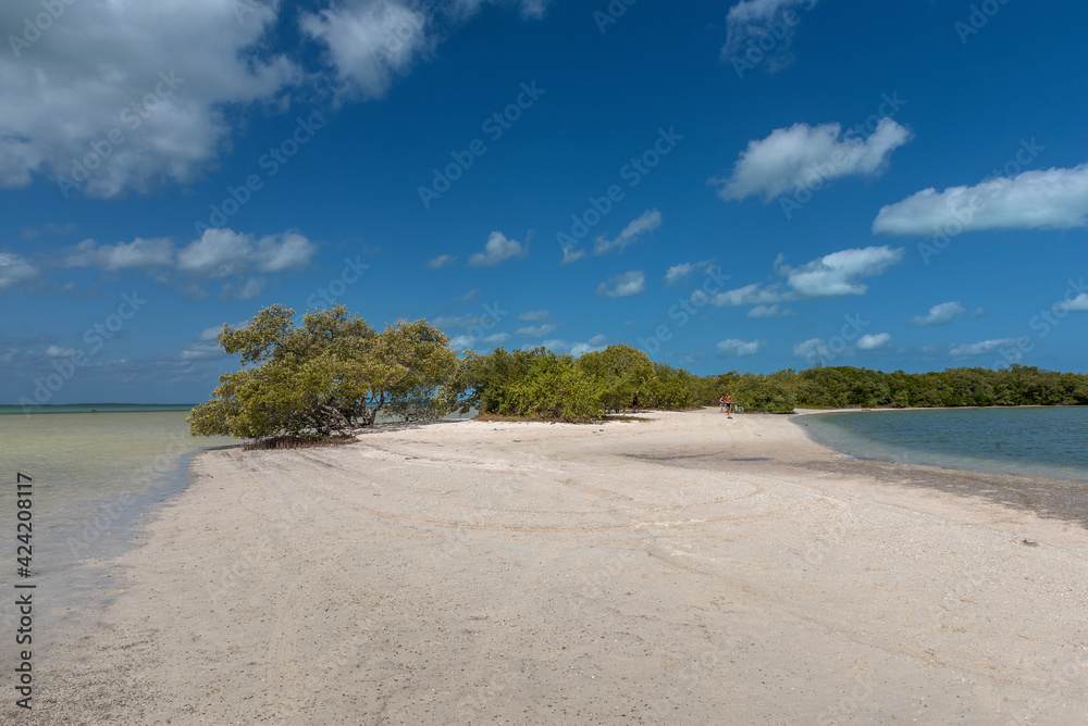 Beach on Holbox Island in the Caribbean Sea of Mexico