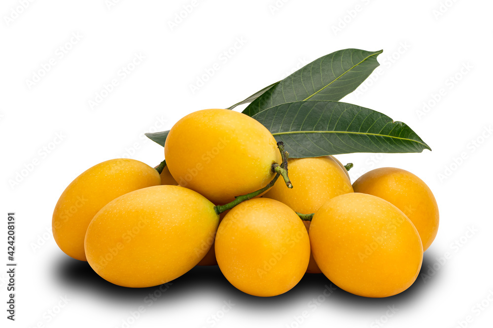 Pile of ripe Marian Plum with leaves on white background with clipping path. Freshly harvested ripe sweet yellow marian plum fruit heap on white.