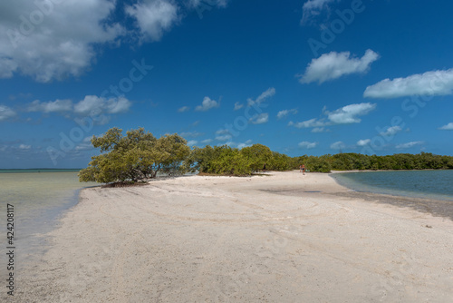 Beach on Holbox Island in the Caribbean Sea of Mexico