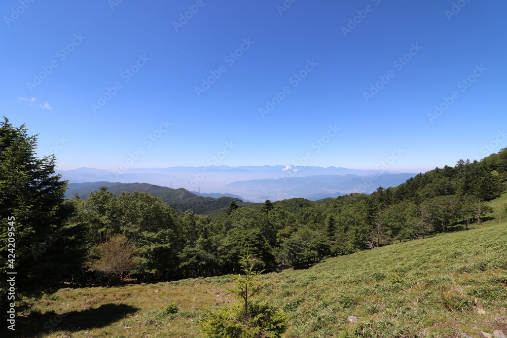 Fototapeta premium 山梨県の大菩薩嶺の登山