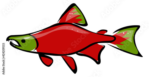 Red Salmon fish cartoon illustration