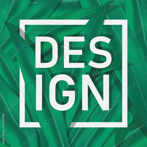 Green leaves form a background on top of which you can make an inscription. Banner for inscriptions and a beautiful green background of leaves.