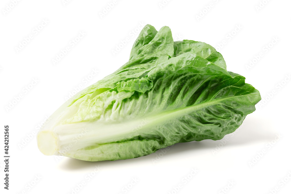 lettuce vegetable isolated on white background, clipping path lettuce vegetable isolated on white background, clipping path