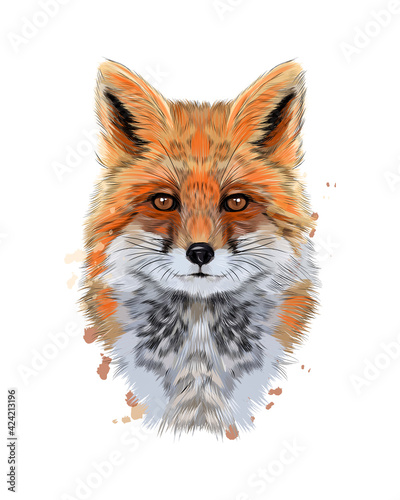 Fox head portrait from a splash of watercolor, colored drawing, realistic. Vector illustration of paints