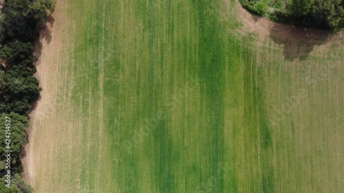 Aerial Top Down View of Grass Field with movement. Golf camp.