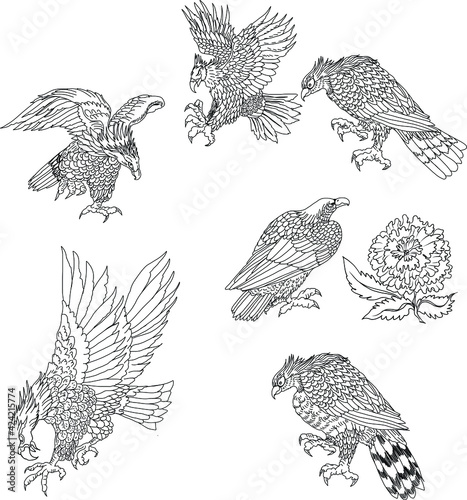 Eagle tattoo isolate vector.Hand drawn traditional Japanese Eagle.Native American Eagle attacking.Old-school tattoo design. 
