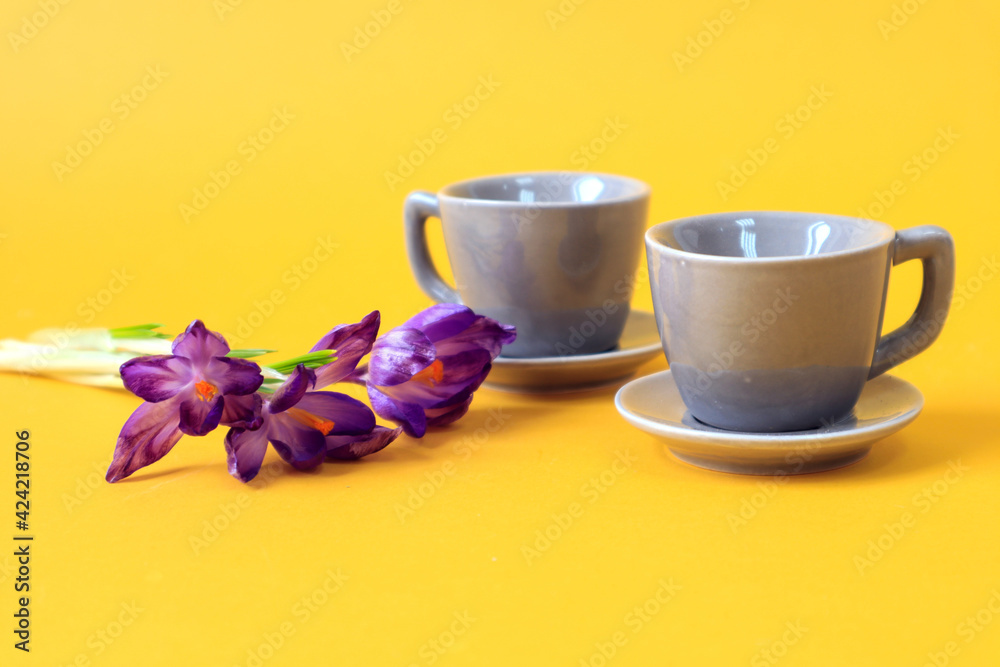 Two gray coffee cups with a bouquet of purple crocuses on a yellow background, space for text Two gray coffee cups with a bouquet of purple crocuses on a yellow background, space for text
