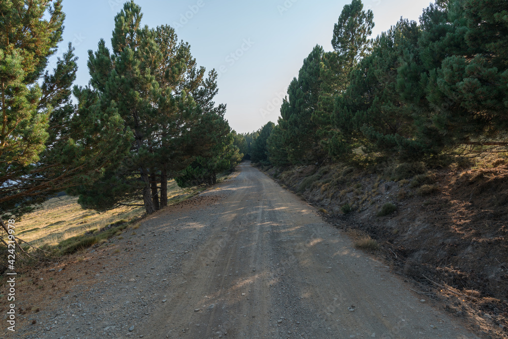 dirt road in the Sierra Nevada mountain dirt road in the Sierra Nevada mountain