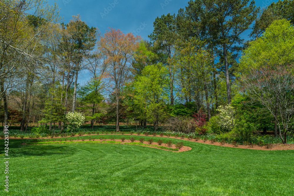 Fototapeta premium Blooming springtime landscape