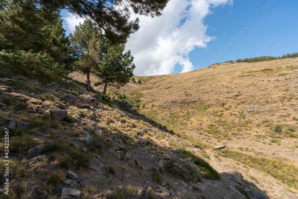 mountainous landscape of Sierra Nevada