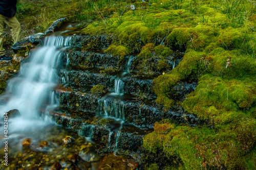 Roadside falls along the Bow Valley Parkway. Banff National Park. Alberta, Canada photo