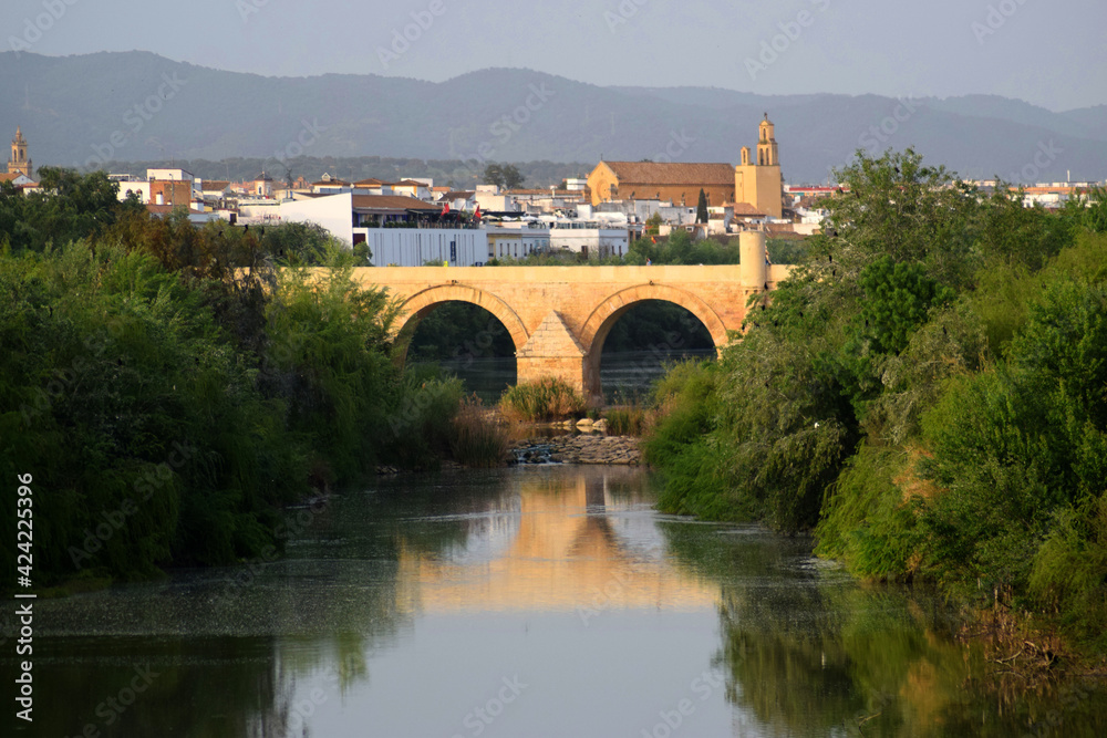 View of the Guadalquivir river and the Roman bridge Cordoba