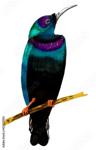 A beautiful bright hummingbird bird sitting on a tree branch. Technique alcohol markers.