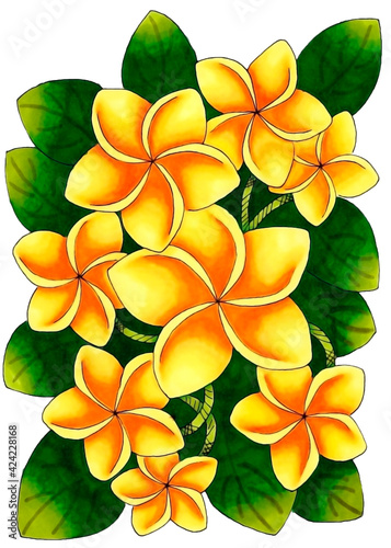 Beautiful yellow plumeria with petals. Technique alcohol markers and liner. The colors used are yellow and green.