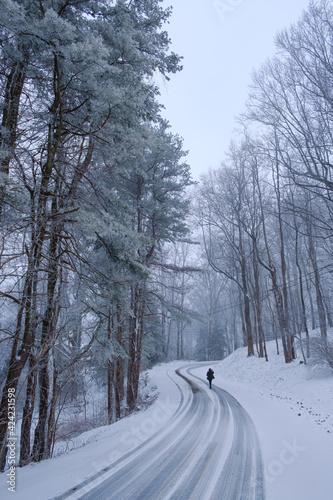 A person walking in the road on a snow day.