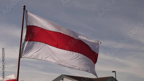 White red white Flag of Belarus. Peaceful protest in Minsk against dictator Lukashenko photo