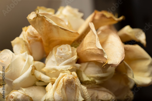 A closeup view of a bouquet of elegant roses and lilies that are dramatically wilted.