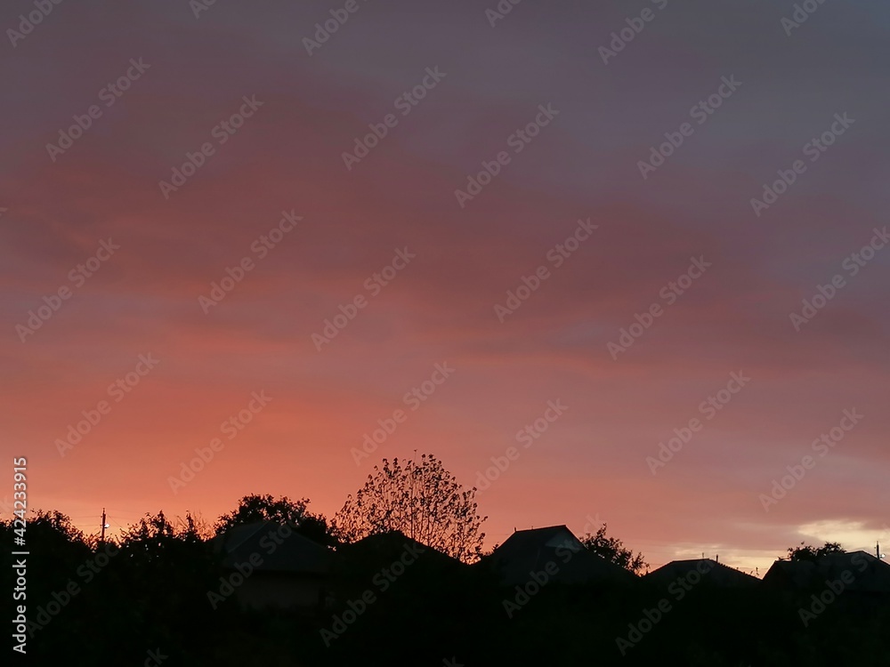 Fototapeta premium sunset over the forest