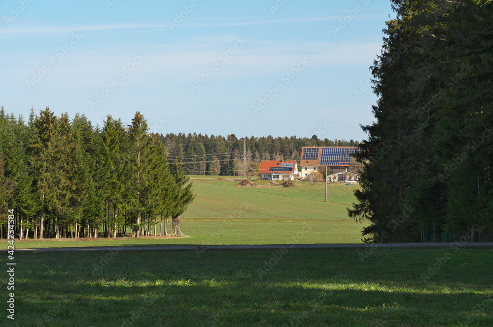 landschaft mit wiese, wald und blauem himmel landschaft mit wiese, wald und blauem himmel