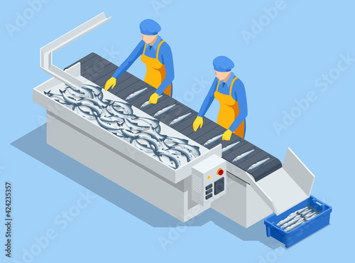 Isometric fish industry seafood production, sorting fish concept. Presale preparation.