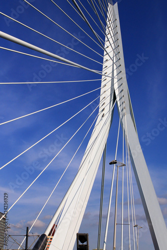 Erasmus Bridge, Rotterdam, Netherlands. Combined cable-stayed and bascule bridge. White lines and blue sky.