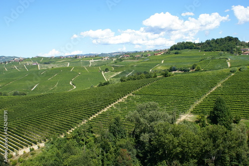 Panoramic view of the area of Langhe from the town of Barolo in Piedmont, Northern Italy