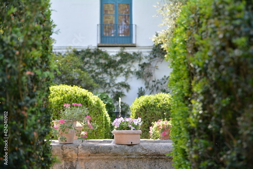 Los patios del Palacio de Viana (Córdoba). 