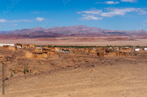 Houses close to the grapefield south africa photo