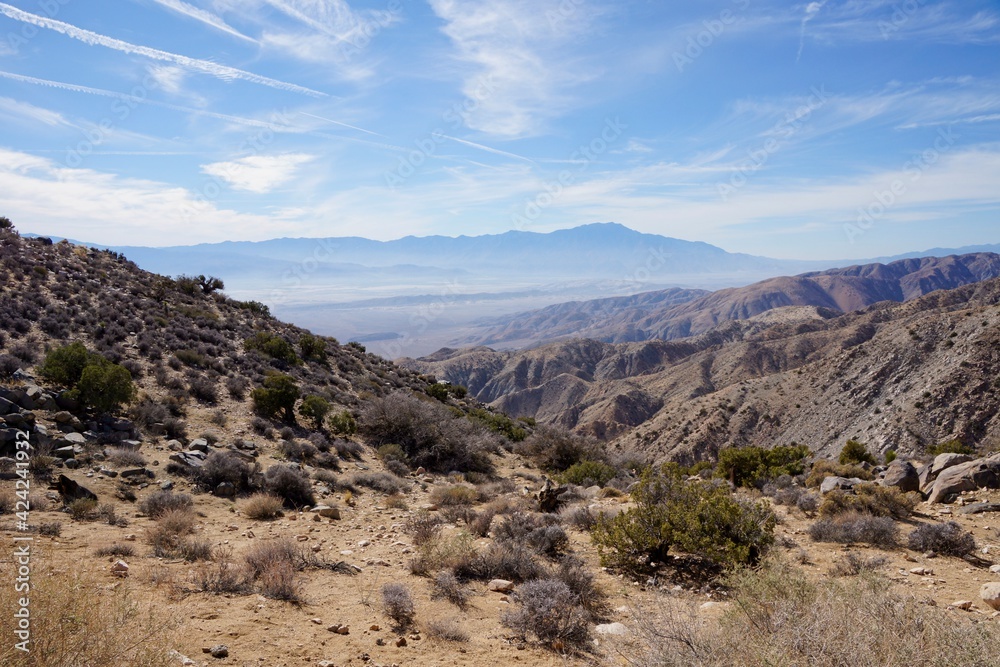 Joshua Tree National Park in California USA Joshua Tree National Park in California USA
