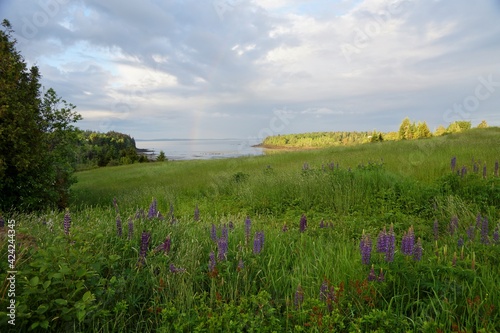 Goose Cove near Tremont Maine © Bennekom