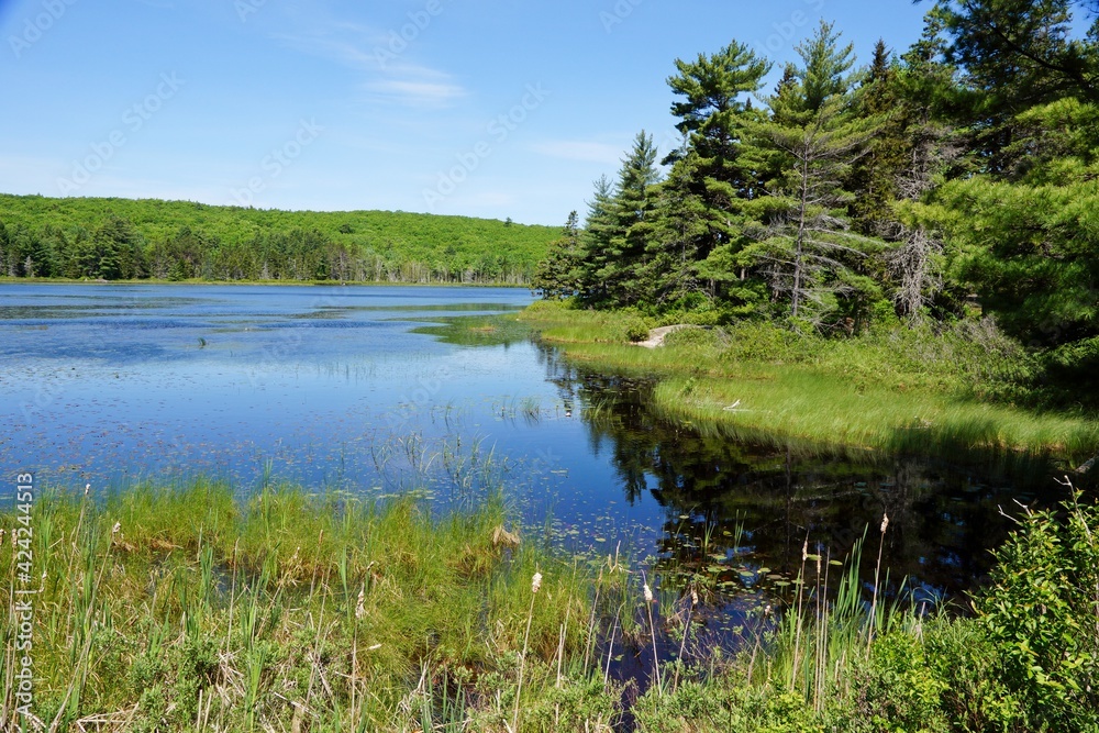 Pond in Acadia National Park in Maine USA