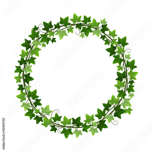 Green ivy creeper plant wreath isolated on white background. Hedera vine botanical round frame design element. Vector illustration of decorative ivy plant circle border