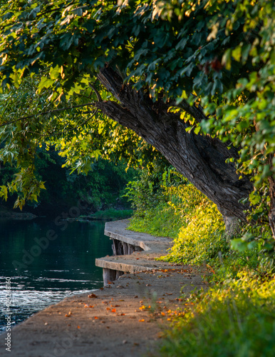 autumn in the park