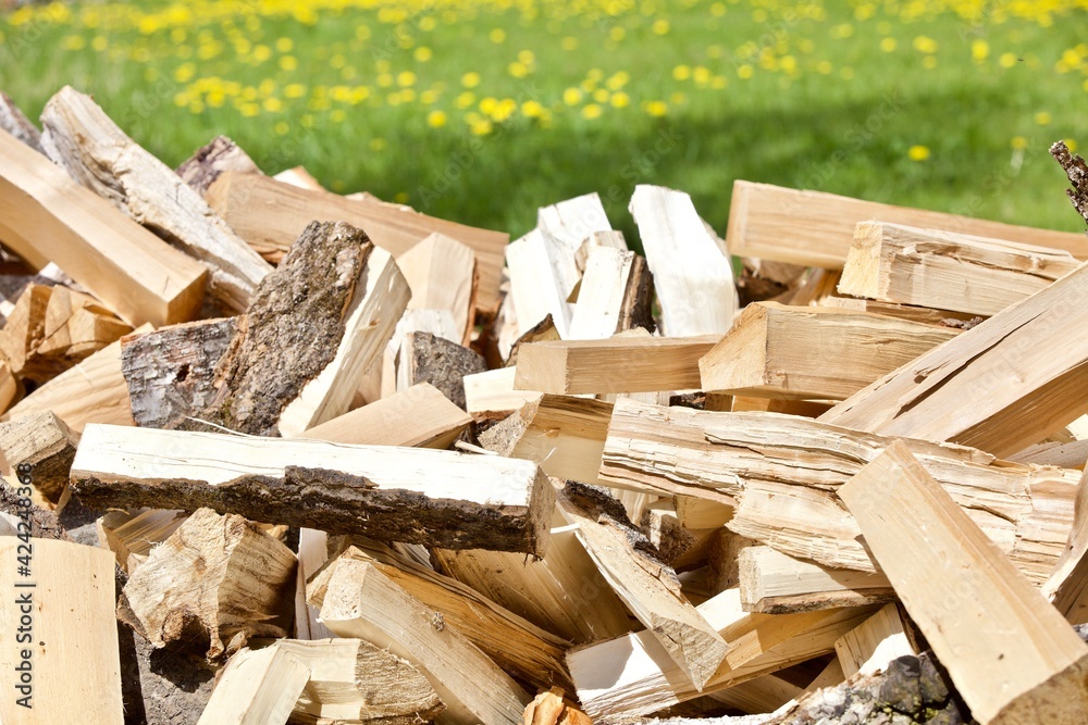 Chopped firewood stacked on bright green grass close-up. Firewood storage close up. Stocks of wooden logs close-up. Chopping wood. Logging in the village. Rustic lifestyle. Wood texture. Rural life. Chopped firewood stacked on bright green grass close-up. Firewood storage close up. Stocks of wooden logs close-up. Chopping wood. Logging in the village. Rustic lifestyle. Wood texture. Rural life.