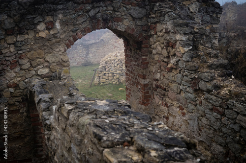 castle ruins covered in fog