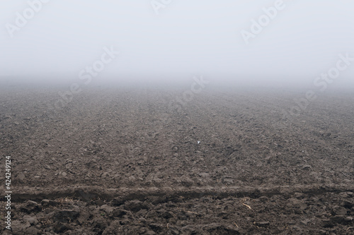 fields hidden in a fog
