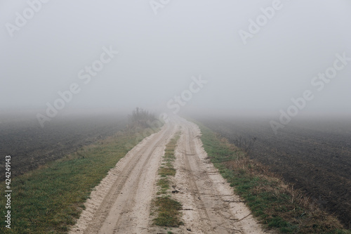 ground path between field hidden in fog