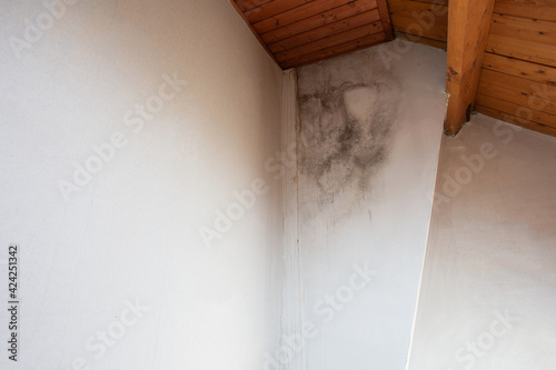 Black mold in the corner, old ceiling of building, water damage causing mold growth, dangerous toxic fungus in the room, needs renovation house, copy space