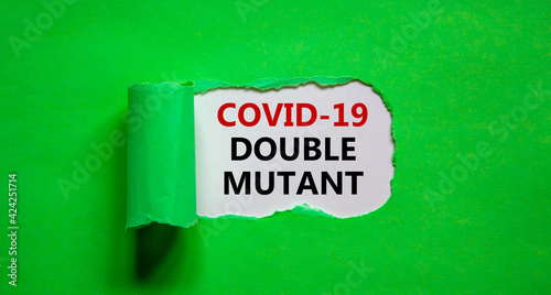 Covid-19 double mutant symbol. Words 'Covid-19 double mutant' appearing behind torn green paper. Medical and COVID-19 pandemic and double mutant concept. Beautiful green background. Copy space.