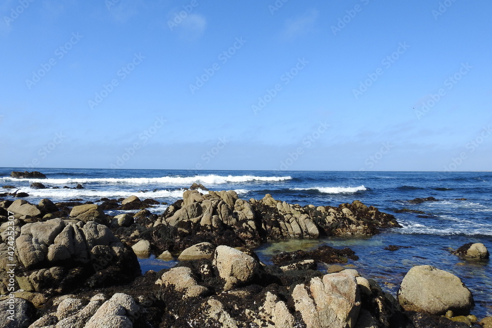 The beautiful scenery of the rocky shores of Monterey Bay, Pacific Grove, California. The beautiful scenery of the rocky shores of Monterey Bay, Pacific Grove, California.