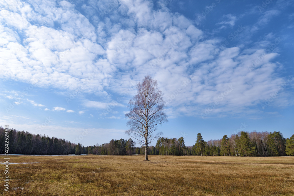 Warming with the onset of spring.