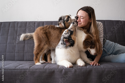  Attractive woman kissing with three merle colours Australian shepherd puppy dog on couch © Iulia