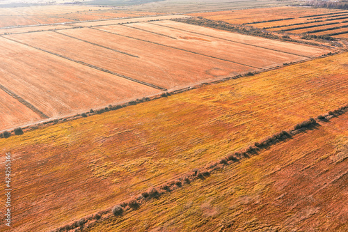 Aerial landscape with golde...