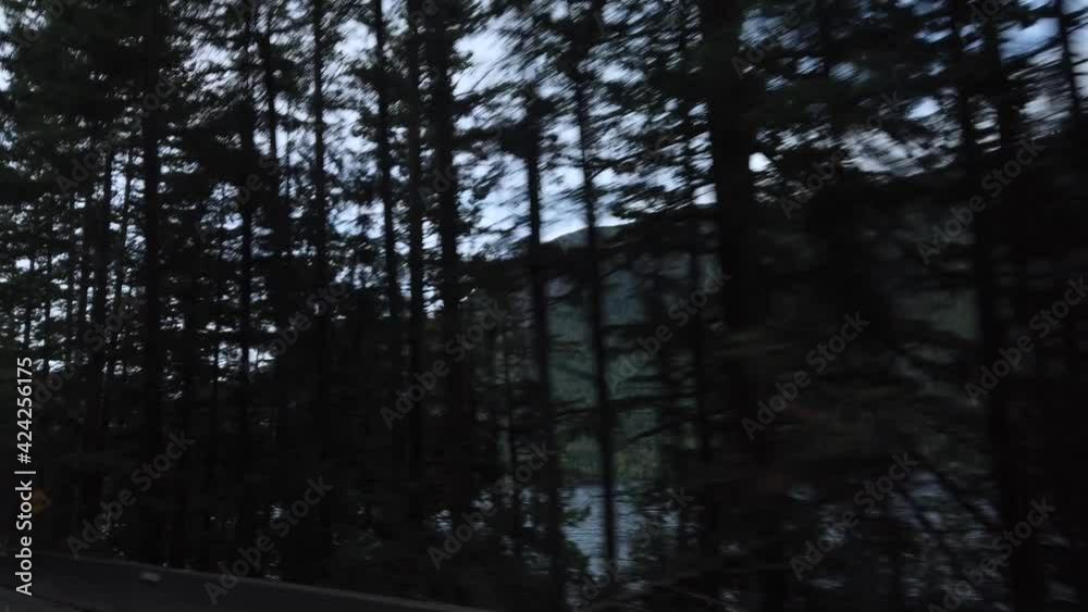 Gimbal driving on highway of Vancouver Island, British Columbia during summer Gimbal driving on highway of Vancouver Island, British Columbia during summer