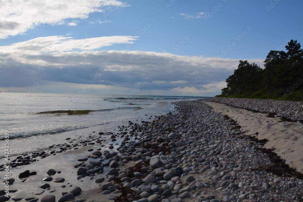 beach and sea