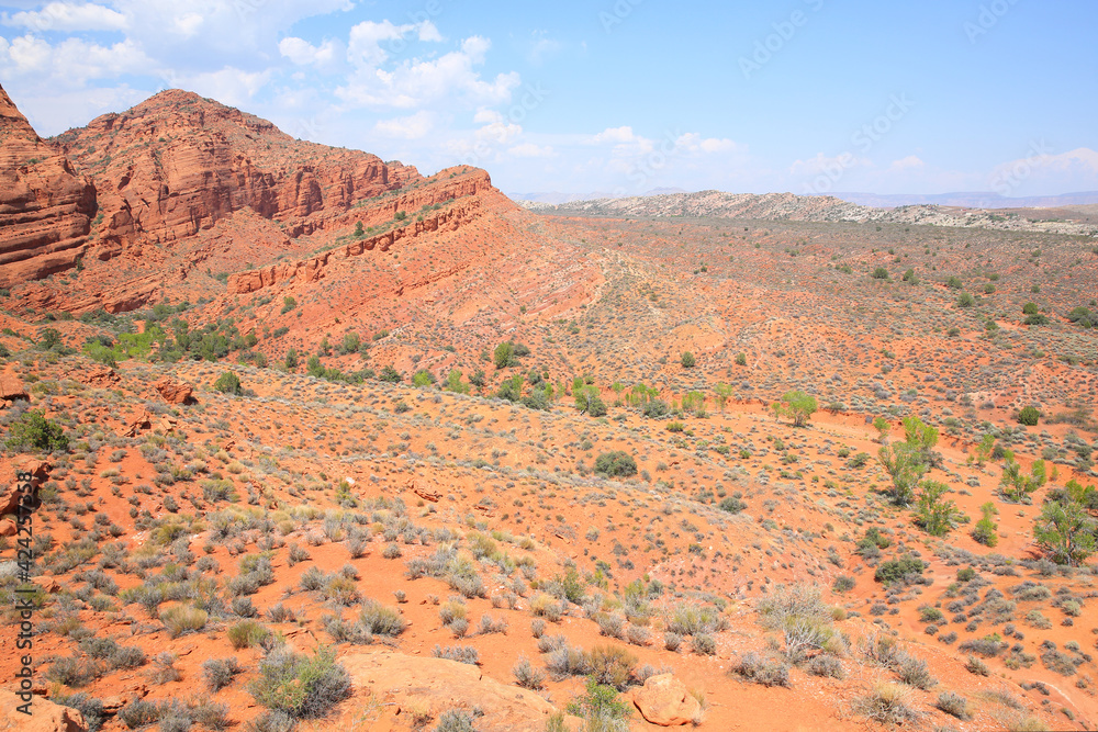 Red Cliffs Recreation Area, National Conservation Lands in Utah, USA