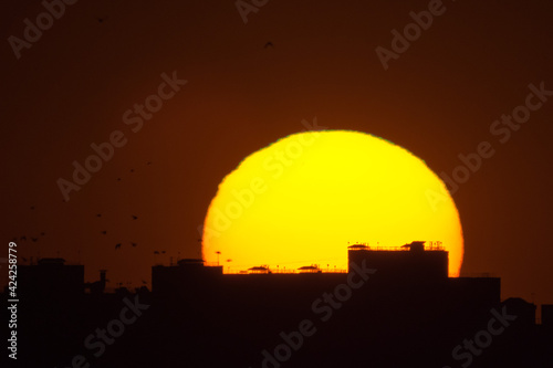 The roof of a high-rise building against the setting sun. A haze of pre-sunset sky and circling birds.