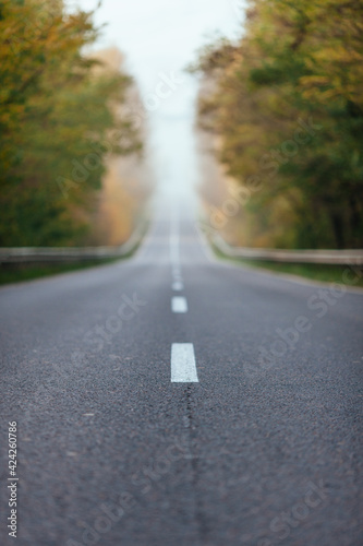 early autumn dawn on the asphalt road with trees and fog