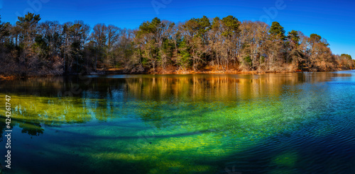 Panoramic Tranquil Picture Lake Landscape in Spring on Cape Cod. Clear Turquoise Colored Water with View of the Clean Sand Bottoms in the Pine Forest. © Naya Na