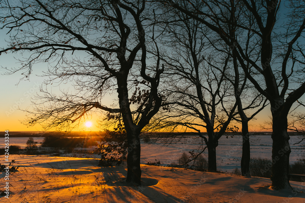 Fototapeta premium sunset in the park